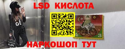бошки Краснодар