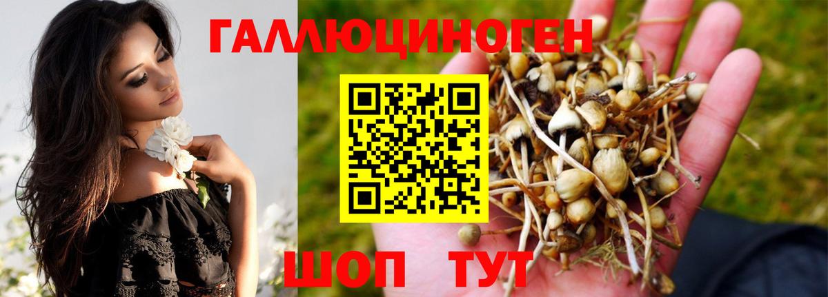 Галлюциногенные грибы ЛСД  Галлюциногенные грибы ЛСД  Качканар  Вход с VPN 